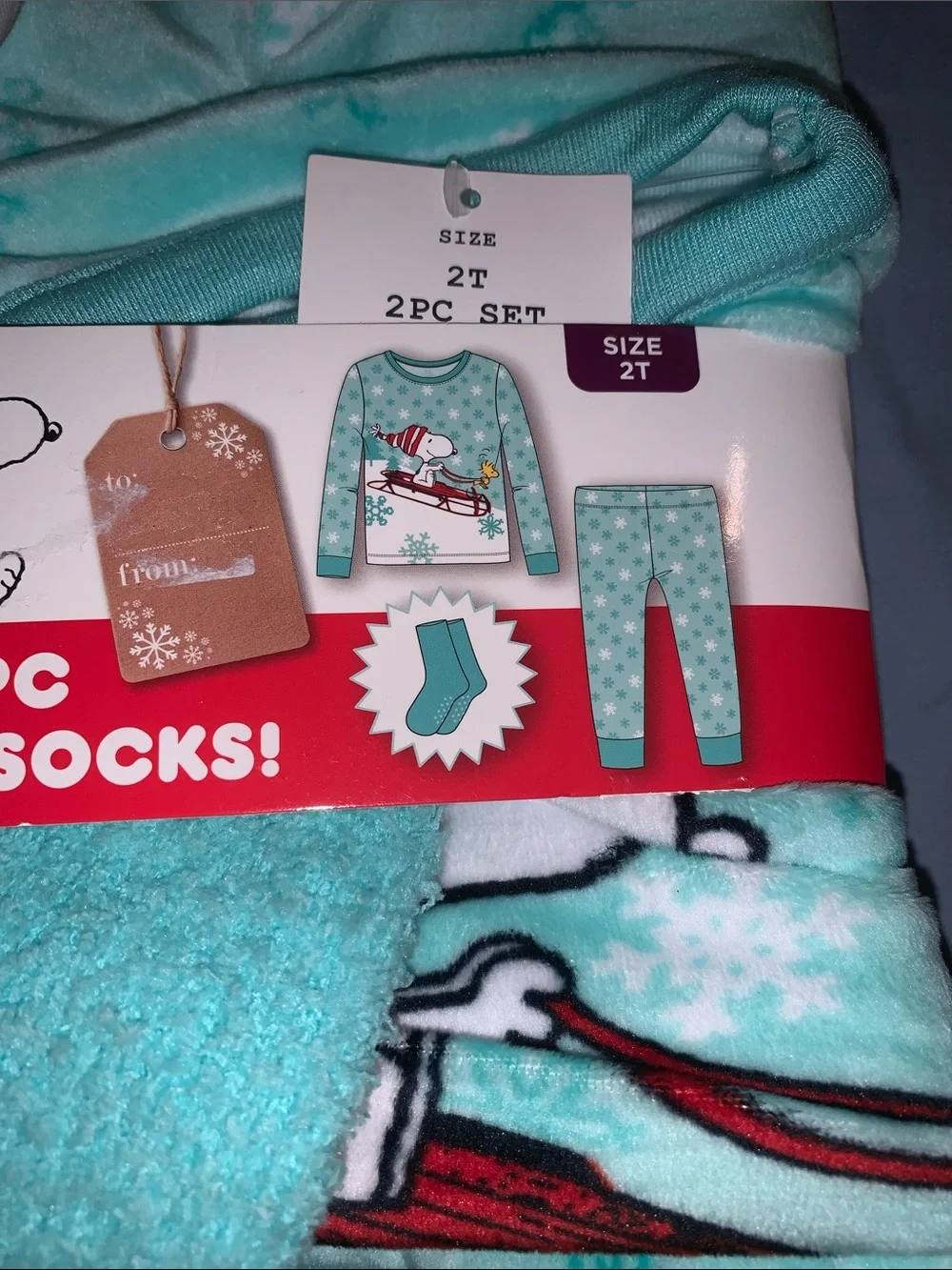 Peanuts Aqua Toddler 2-Piece Pajama Set with Cozy Aqua 2T